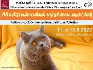 MAČKY KOŠICE 2obr